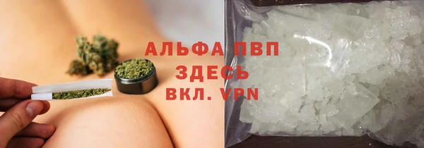 PSILOCYBIN Бугульма