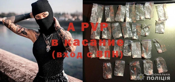 PSILOCYBIN Бугульма