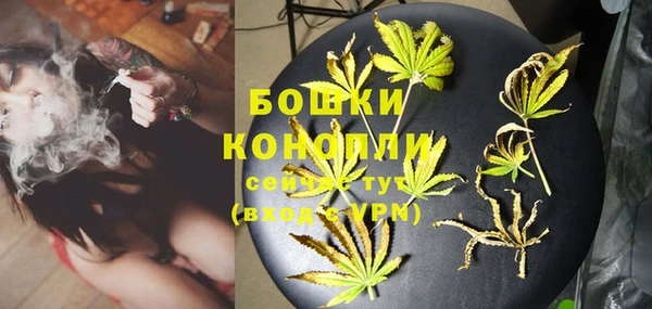 PSILOCYBIN Бугульма