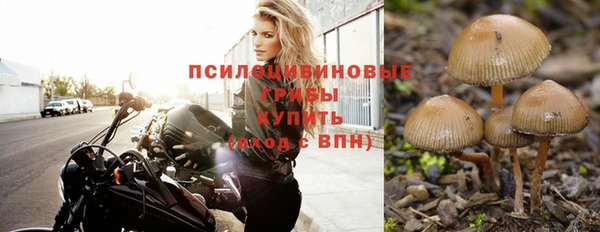 эйфоретик Бронницы
