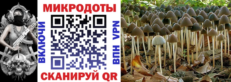 как найти закладки  Магнитогорск  Псилоцибиновые грибы мицелий 