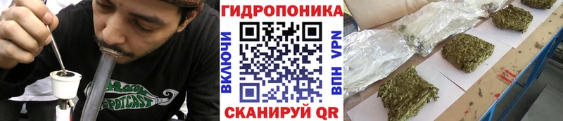 Шишки марихуана VHQ  shop клад  Магнитогорск 